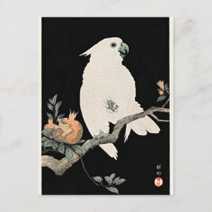 Kakadua och granatäpple, finkonst av Ohara Koson Vykort