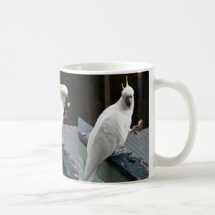 Kakadua på frukosten kaffemugg