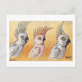 Kakaduer, Louis Wain, Vykort