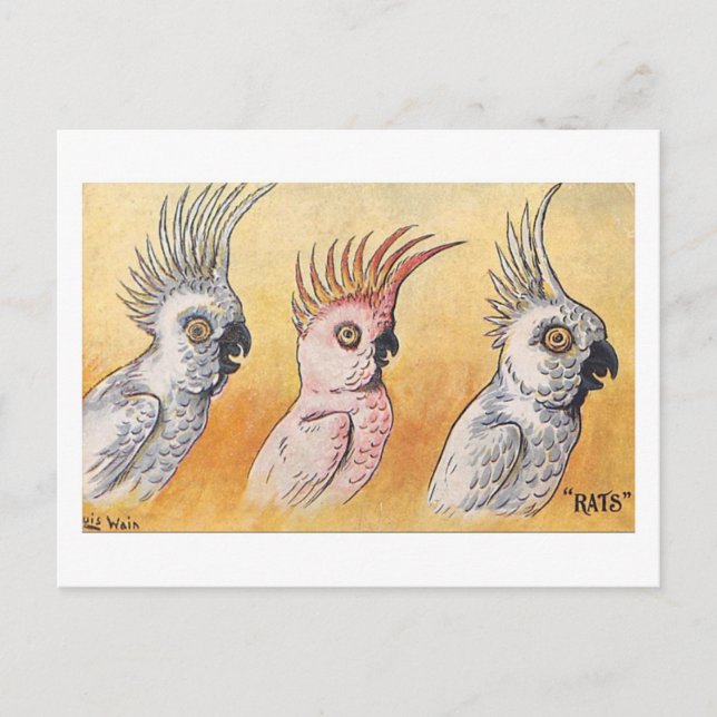 Kakaduer, Louis Wain,  Vykort (Framsida)
