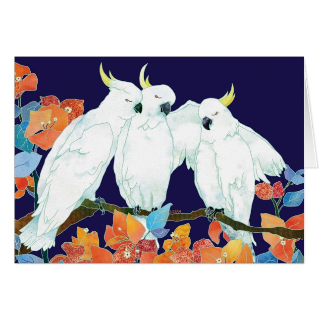 Kakaduor och Bougainvillea OBS Kort (Framsidan Horizontal)