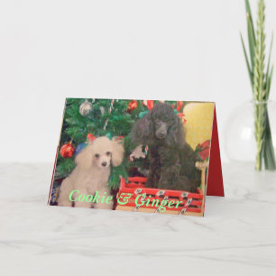 Kakan & ingefäran firar jul helgkort
