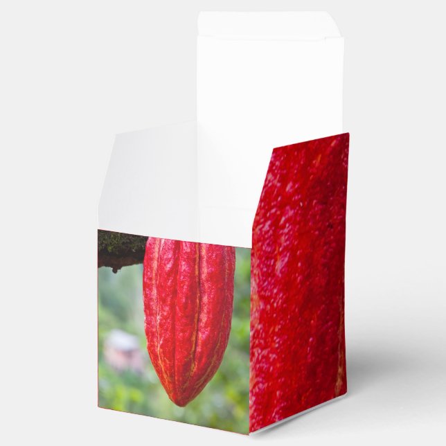 kakaofrukt röd presentaskar (Öppnad)