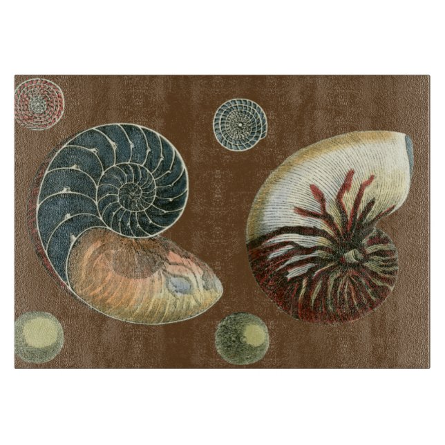 KakaoSnäcka (Framsidan)