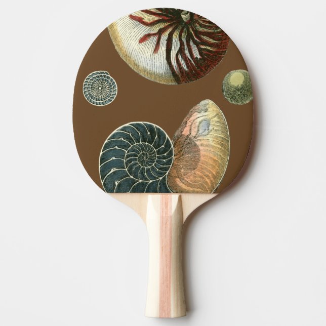 KakaoSnäcka Pingisracket (Framsidan)