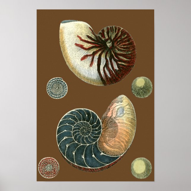 KakaoSnäcka Poster (Framsidan)