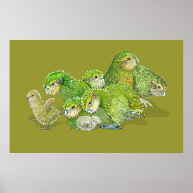 Kakapo Chick Creche Poster (Framsidan)