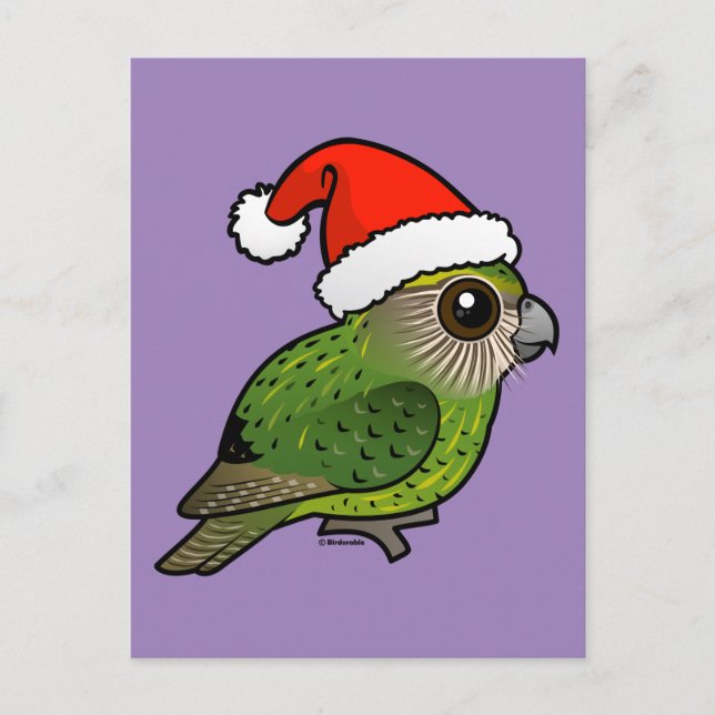 Kakapo Claus Vykort (Framsida)