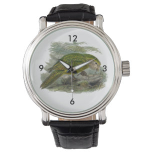 Kakapo Grönt Uggla Parrot, Sällsyntet Bird Illustr Armbandsur