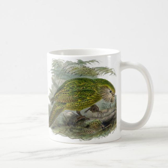 Kakapo Grönt Uggla Parrot, Sällsyntet Bird Illustr Kaffemugg (Höger)