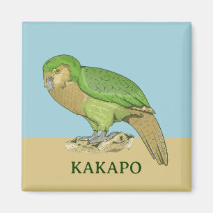 Kakapo-illustration Magnet