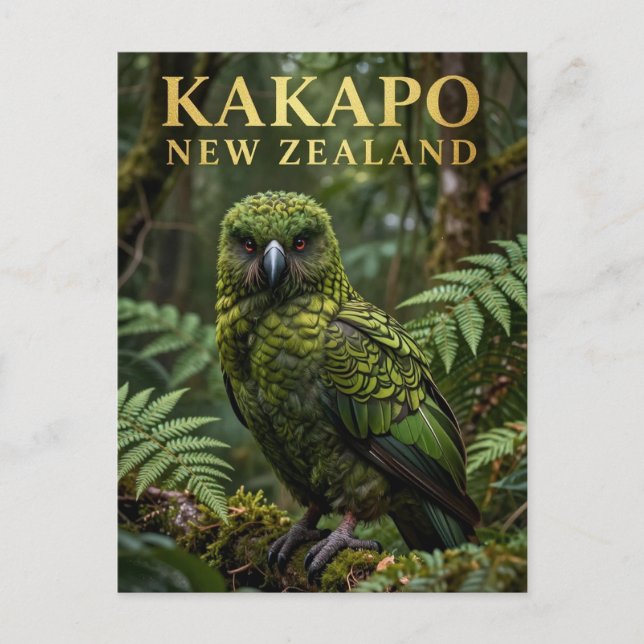 🦜 Kakapo Nya Zeeland Fågel Vykort (Framsida)