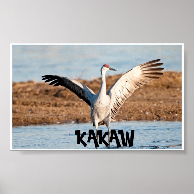 KAKAW-affisch Poster (Framsidan)