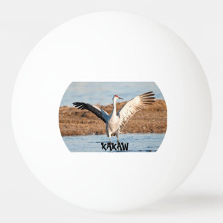 KAKAW Pingisboll