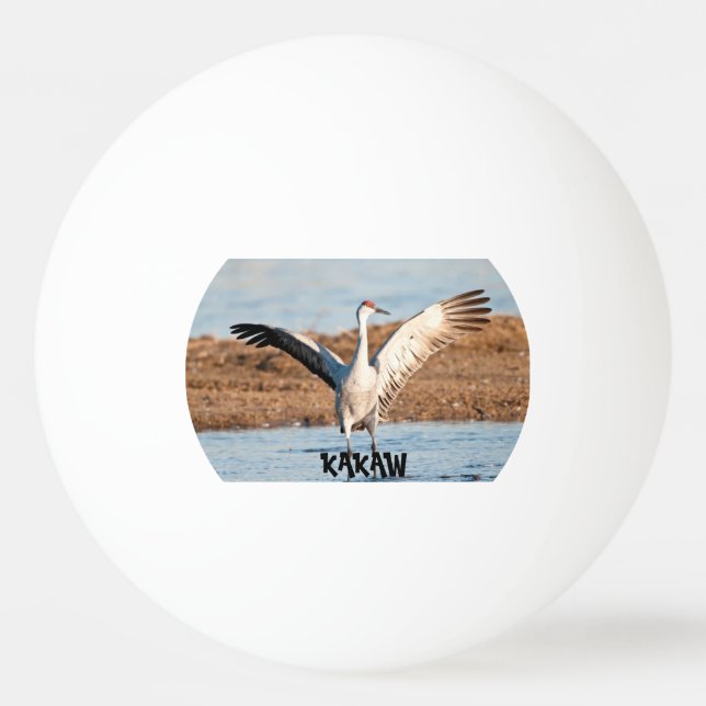 KAKAW Pingisboll (Framsidan)