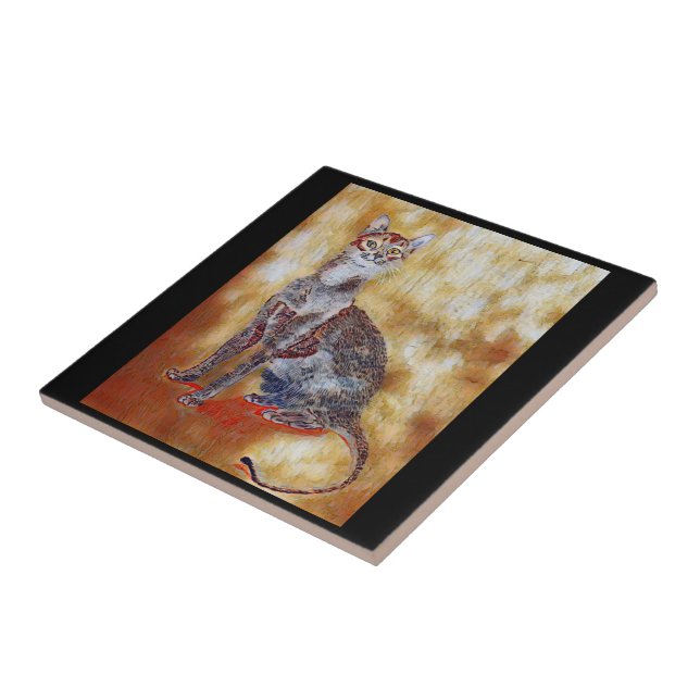 🐈 KAKELPLATTA (Sidan)