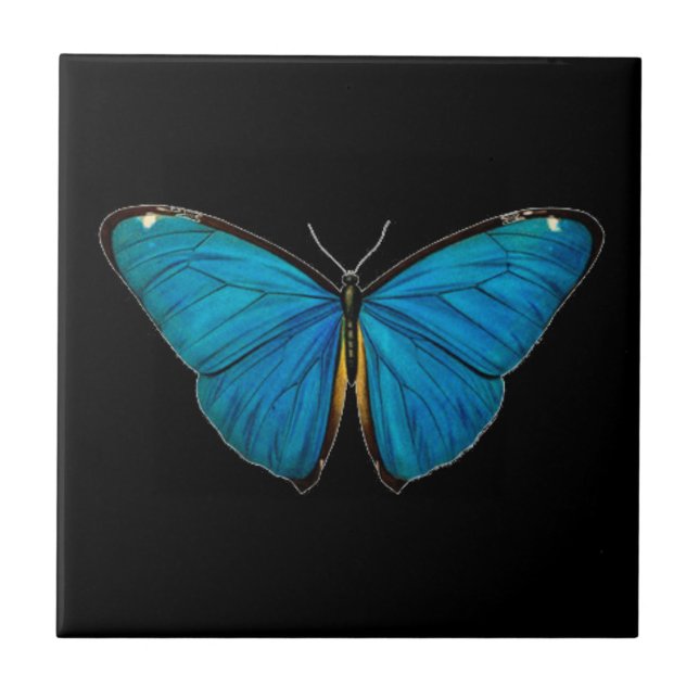 KAKELPLATTA: BLUE BUTTERFLY KAKELPLATTA (Framsidan)