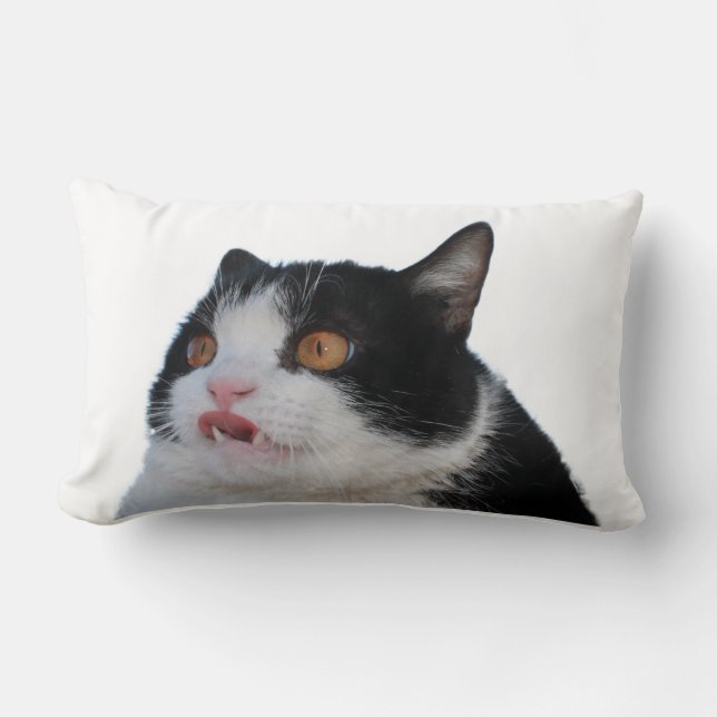 Kåken kudder lumbarkudde (Framsida)