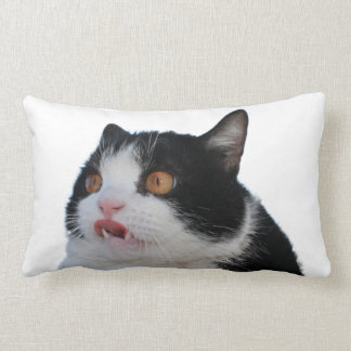 Kåken kudder lumbarkudde