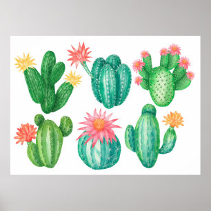 Kakti med blommor. Isolerat inslag på en Poster