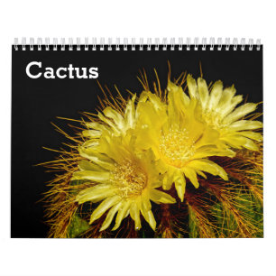 Kaktus 2025 kalender