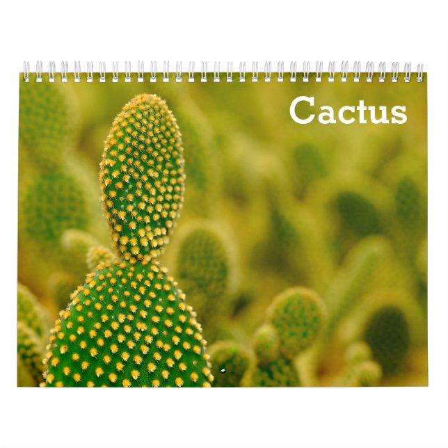 Kaktus 2025 kalender (Omslag)