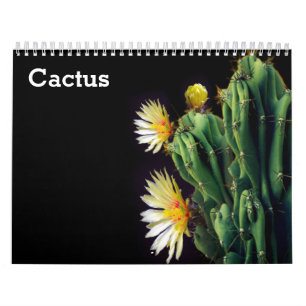 Kaktus 2025-kalender kalender