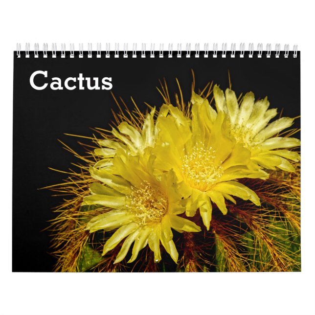 Kaktus 2027 kalender (Omslag)