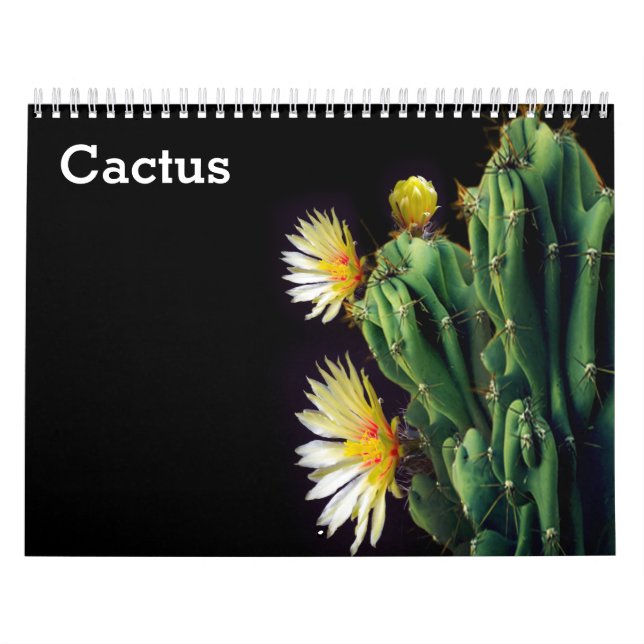 Kaktus 2027 kalender (Omslag)
