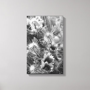 Kaktus-blommor förtjänar B&W-fotodesignutskrifter Canvastryck