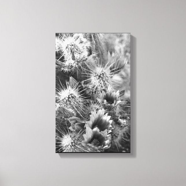 Kaktus-blommor förtjänar B&W-fotodesignutskrifter Canvastryck (Framsida)