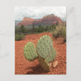 Kaktus för Prickly pear i Sedona, Arizona - vykort