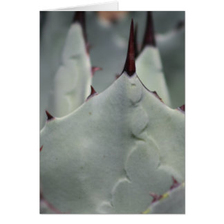 Kaktus från varvet hälsningskort