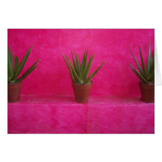 kaktus hälsningskort