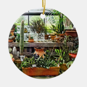 Kaktus i Greenhouse Julgransprydnad Keramik