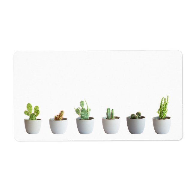 Kaktus i krukor fraktsedel (Framsidan)