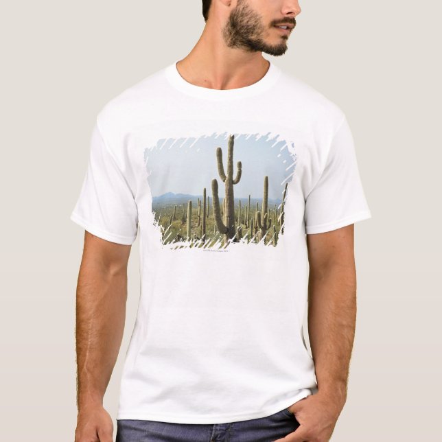 Kaktus i Saguaronationalparken, Arizona 2 Tee Shirt (Framsida)