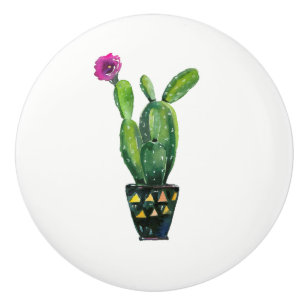 Kaktus Lila Blomma Boho Rustik Sydvästlig Knopp