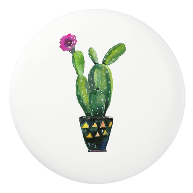 Kaktus Lila Blomma Boho Rustik Sydvästlig Knopp (Framsidan)