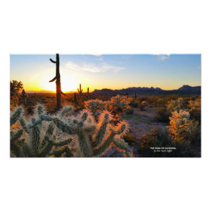 Kaktus med Arizona sunset Superstition Wilderness Fototryck