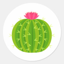 Kaktus med blomkorgen