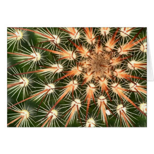 Kaktus med hälsningskort för Starburst Spines