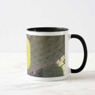 Kaktus Mugg