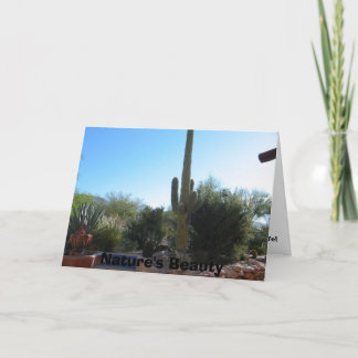 Kaktus naturs skönhet kort