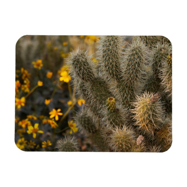 kaktus och vilda blommor magnet (Horisontell)