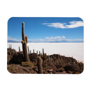 Kaktus på Salar de Uyuni den rektangulära magnet