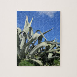 kaktus, utformning, anläggning, sommar, natur, suc pussel