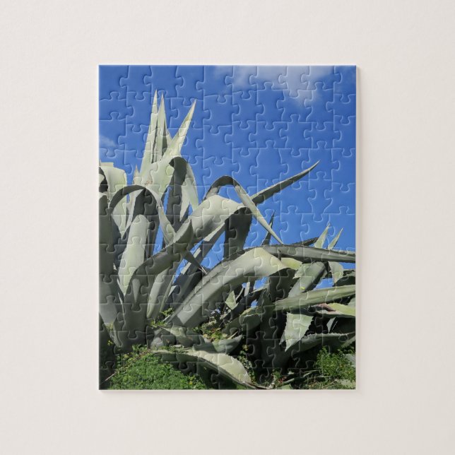 kaktus, utformning, anläggning, sommar, natur, suc pussel (Vertikal)