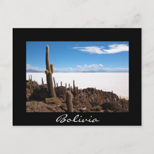 Kaktus vid Salar de Uyuni Black gräns-vykort Vykort
