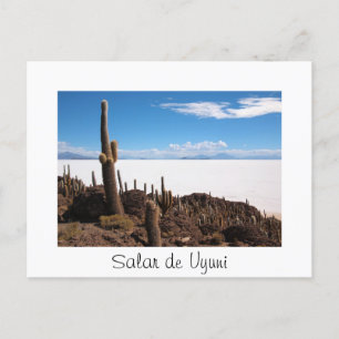 Kaktus vid Salar de Uyuni text gräns vykort